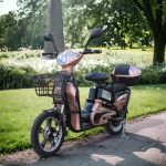 Електрически скутер-велосипед MaxMotors EBZ16 500W - ROSE GOLD - Image 6