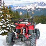 ЕЛЕКТРИЧЕСКО ATV MAXMOTORS GRIZZLY SPORT PRO 2500W - Image 3