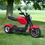 Електрически мотор MaxMotors BIG CITY SPORT 2500W