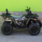 ATV 250 кубика MaxMotors Shark - Image 4
