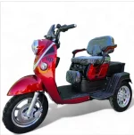 Триместна електрическа триколка MaxMotors X2 1500W