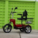 Електрическа триколка A6 LUX+ 1000W - Image 3