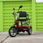 Електрическа триколка A6 LUX+ 1000W - Image 5