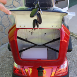 Електрическа триколка Max Motors FM2 PRO 1800W, 25Ah, RED - Image 5