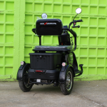 Триместна Триколка MAXMOTORS X1 NEW МОДЕЛ Аудио система - Image 7