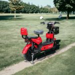 ЕЛЕКТРИЧЕСКИ СКУТЕР-ВЕЛОСИПЕД MAXMOTORS EBZ14 500W - Image 2